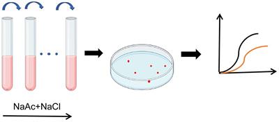 Carotenoids synthesis affects the salt tolerance mechanism of Rhodopseudomonas palustris